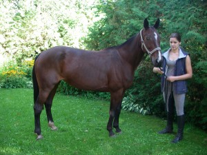 Styga