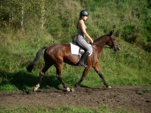 IMGP0413